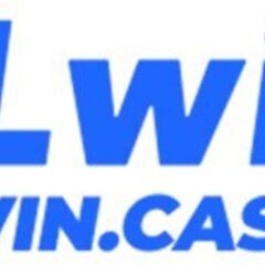 LL WIN's profile picture