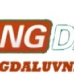 Bongdaluvn com's profile picture