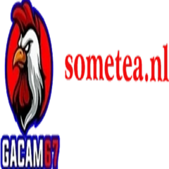 gacam67  sometea's profile picture