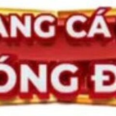 Trang Ca Do Bong Da's profile picture