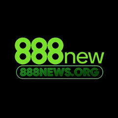 888news org's profile picture