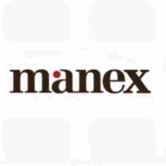 Manex Consulting's profile picture