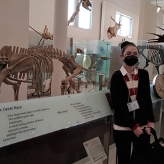 Kim Hughes's profile picture