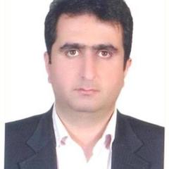 Seyed R. Koloor's profile picture