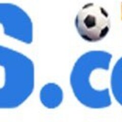 8S1 ORG's profile picture