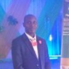 Temitayo Emmanuel Olaosebikan's profile picture