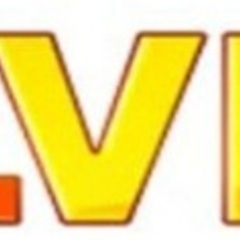 Slvip org's profile picture