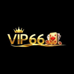 vip66 bio's profile picture