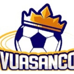 vsc9 win's profile picture