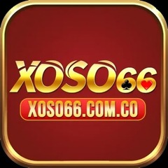 Xoso66  com co's profile picture