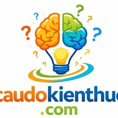 Cau Do Kien Thuc's profile picture