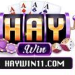 HAYWIN  11COM's profile picture