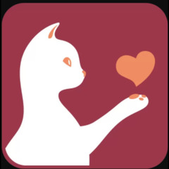 ディ ルド's profile picture