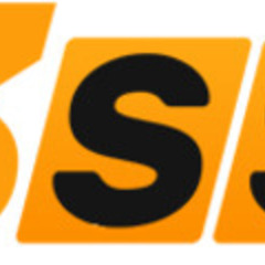 33ss   game's profile picture