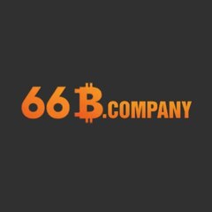 66B company's profile picture