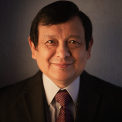 Luis Hernandez-Gomez's profile picture