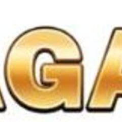 1Agame io's profile picture