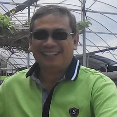 Indra Surya's profile picture