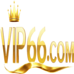 Vip66  training's profile picture