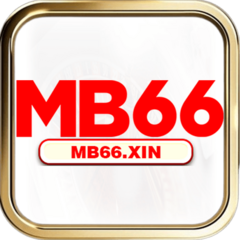 mb66 xin's profile picture