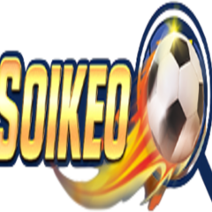 Soikeo cn  com's profile picture