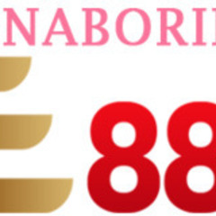 AE888 pays's profile picture