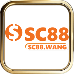 sc88 wang's profile picture