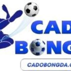 Ca Do Bong Da's profile picture