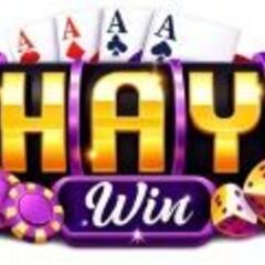 HayWin  Com's profile picture