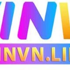 Winvn Link's profile picture