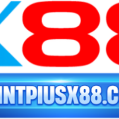 saintpiusx88 com's profile picture