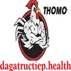 dagatructiep health's profile picture