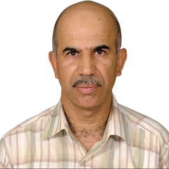 Haider Mousa's profile picture