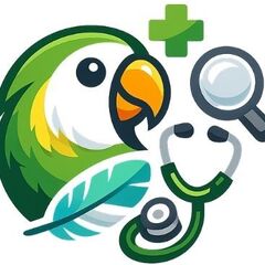 Pet Bird Behavior And Health Guide's profile picture
