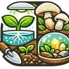 Diy Grow  Kits Guide's profile picture