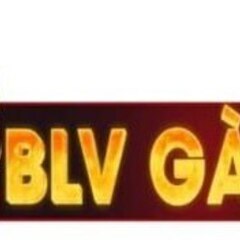 BLV  Gà Lửa's profile picture