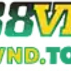 888Vnd today's profile picture