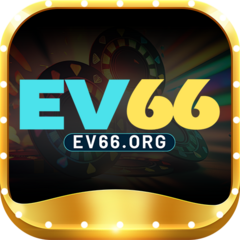 ev66 org's profile picture