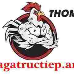 ĐÁ GÀ TRỰC TIẾP ART's profile picture