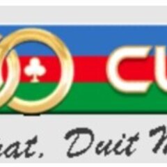 100cuci Malaysia's profile picture