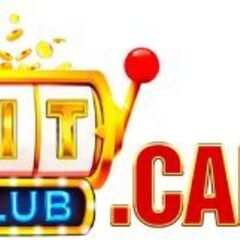 Hitclub  camp's profile picture