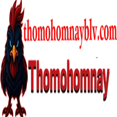 THOMOHOMNAY  blv's profile picture