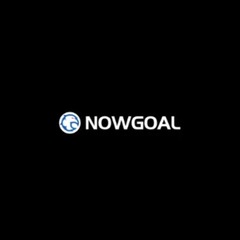 Nowgoal  capital's profile picture