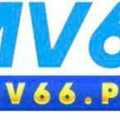 MV66 pw's profile picture