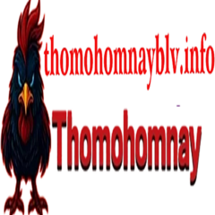 thomohomnay  blvinfo's profile picture