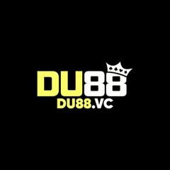 DU88 VC's profile picture
