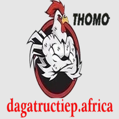 dagatructiep pafrica's profile picture