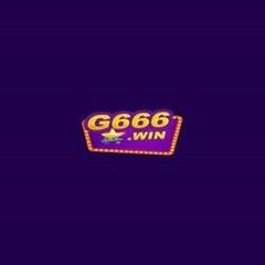 G666 6NET's profile picture
