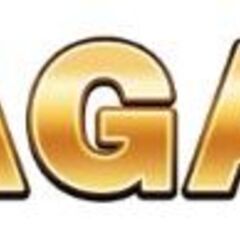 1Agame GamingPortal's profile picture