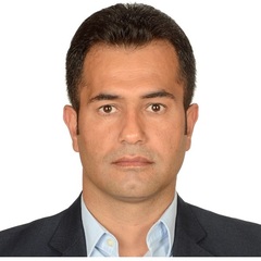 Alireza Noruzi's profile picture